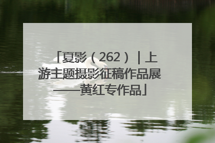 夏影（262）｜上游主题摄影征稿作品展——黄红专作品