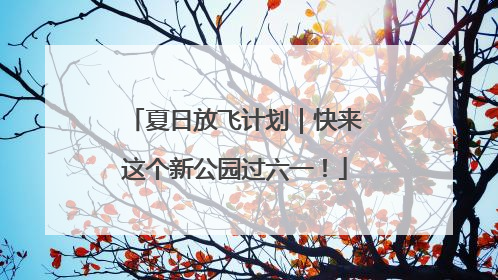 夏日放飞计划｜快来这个新公园过六一！