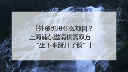 外资想投什么项目？上海浦东邀请供需双方“坐下来掰开了谈”