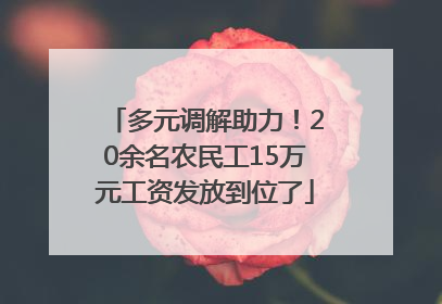 多元调解助力！20余名农民工15万元工资发放到位了