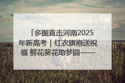 多图直击河南2025年新高考｜红衣旗袍送祝福 鲜花葵花助梦圆——尉氏县高考暖心送考