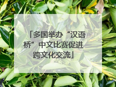 多国举办“汉语桥”中文比赛促进跨文化交流
