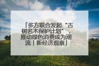 多方联合发起“古树名木保护计划”，推动绿色消费成为潮流丨新经济观察