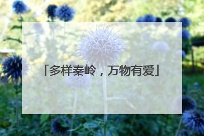 多样秦岭，万物有爱