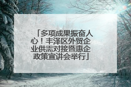 多项成果振奋人心！丰泽区外贸企业供需对接暨惠企政策宣讲会举行