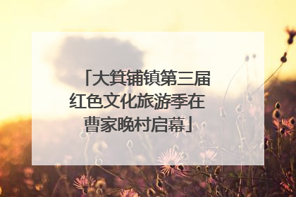 大箕铺镇第三届红色文化旅游季在曹家晚村启幕