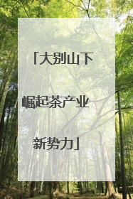 大别山下崛起茶产业新势力