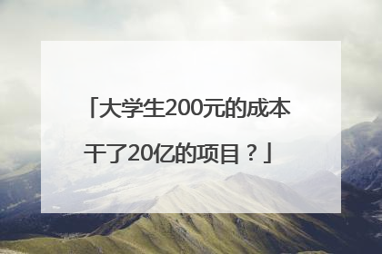 大学生200元的成本干了20亿的项目？