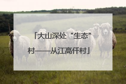 大山深处“生态”村——从江高仟村