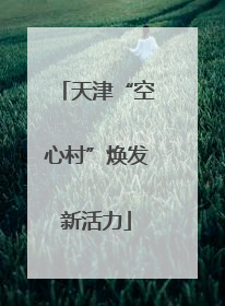 天津“空心村”焕发新活力