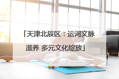 天津北辰区：运河文脉滋养 多元文化绽放