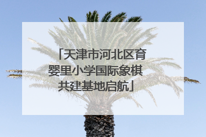 天津市河北区育婴里小学国际象棋共建基地启航