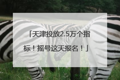 天津投放2.5万个指标！摇号这天报名！