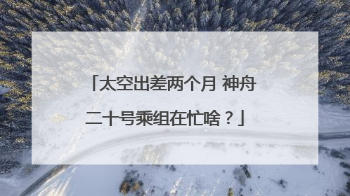 太空出差两个月 神舟二十号乘组在忙啥？