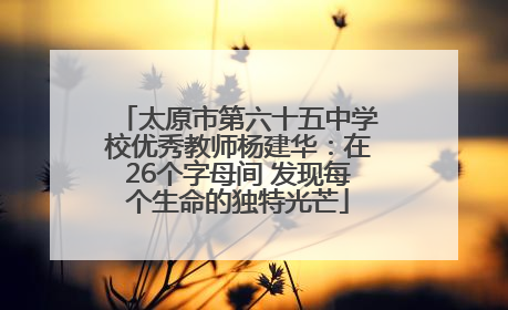 太原市第六十五中学校优秀教师杨建华：在26个字母间 发现每个生命的独特光芒