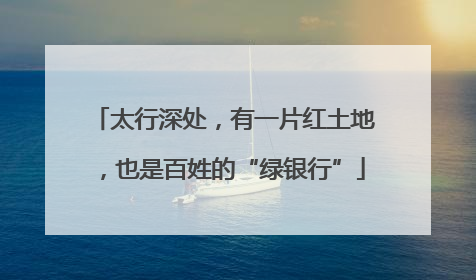 太行深处，有一片红土地，也是百姓的“绿银行”