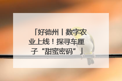 好德州丨数字农业上线！探寻车厘子“甜蜜密码”