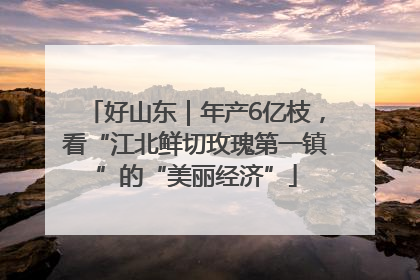 好山东｜年产6亿枝，看“江北鲜切玫瑰第一镇”的“美丽经济”