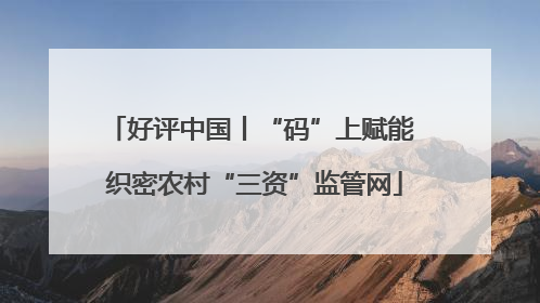 好评中国丨“码”上赋能 织密农村“三资”监管网