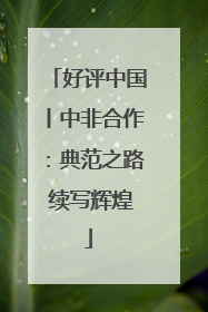 好评中国丨中非合作：典范之路 续写辉煌