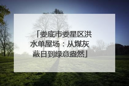 娄底市娄星区洪水单屋场：从煤灰蔽日到绿意盎然