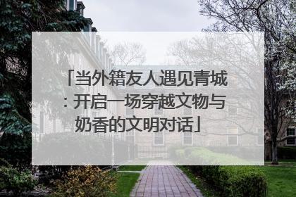 当外籍友人遇见青城：开启一场穿越文物与奶香的文明对话