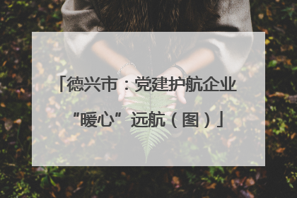 德兴市：党建护航企业“暖心”远航（图）