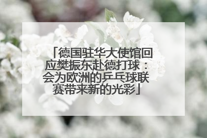 德国驻华大使馆回应樊振东赴德打球：会为欧洲的乒乓球联赛带来新的光彩