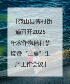 微山县傅村街道召开2025年农作物秸秆禁烧暨“三夏”生产工作会议