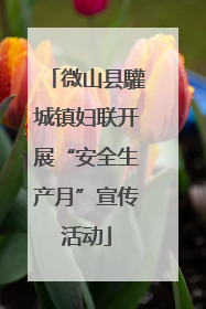 微山县驩城镇妇联开展“安全生产月”宣传活动