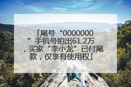 尾号“0000000”手机号拍出61.2万，买家“李小龙”已付尾款，仅享有使用权