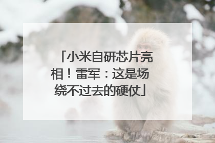 小米自研芯片亮相！雷军：这是场绕不过去的硬仗