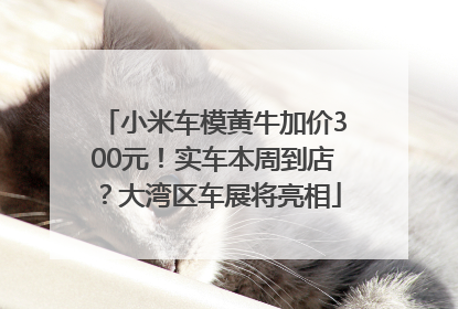 小米车模黄牛加价300元！实车本周到店？大湾区车展将亮相