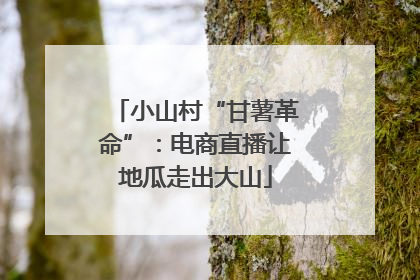 小山村“甘薯革命”：电商直播让地瓜走出大山