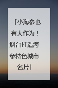 小海参也有大作为！烟台打造海参特色城市名片