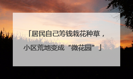 居民自己筹钱栽花种草，小区荒地变成“微花园”