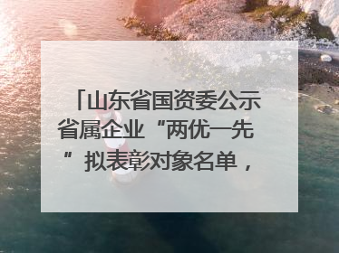 山东省国资委公示省属企业“两优一先”拟表彰对象名单，共250名（个）党员和党组织