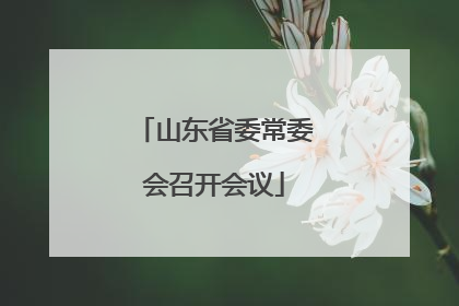 山东省委常委会召开会议
