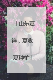 山东嘉祥：夏收夏种忙