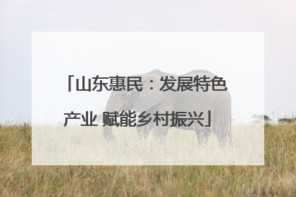 山东惠民：发展特色产业 赋能乡村振兴