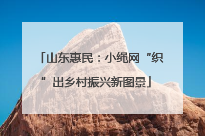 山东惠民：小绳网“织”出乡村振兴新图景