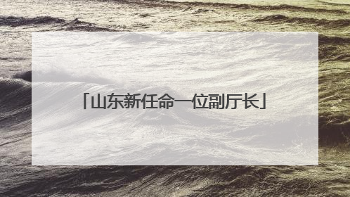 山东新任命一位副厅长