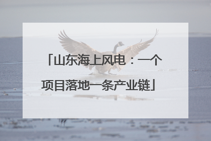 山东海上风电：一个项目落地一条产业链