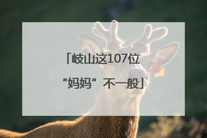 岐山这107位“妈妈”不一般