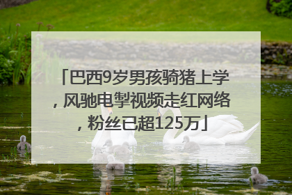 巴西9岁男孩骑猪上学，风驰电掣视频走红网络，粉丝已超125万