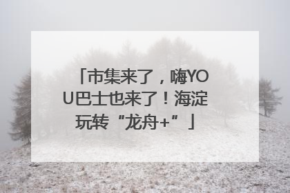 市集来了，嗨YOU巴士也来了！海淀玩转“龙舟+”
