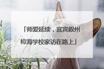 师爱延续，宜宾叙州樟海学校家访在路上