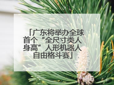 广东将举办全球首个“全尺寸类人身高”人形机器人自由格斗赛