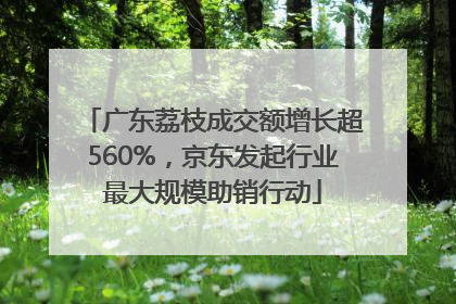 广东荔枝成交额增长超560%，京东发起行业最大规模助销行动