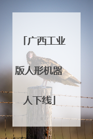 广西工业版人形机器人下线